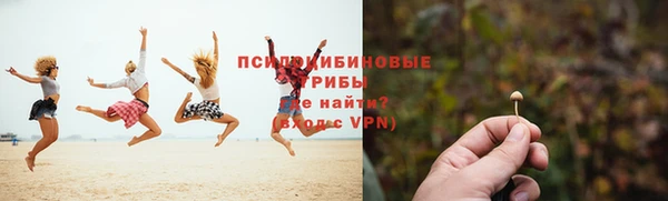 a pvp Аркадак