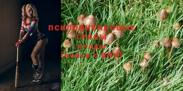 MDMA Арсеньев